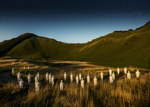 維新派「トワイライト」より。