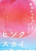 劇団かもめんたる第3回公演「ピンクスカイ」チラシ