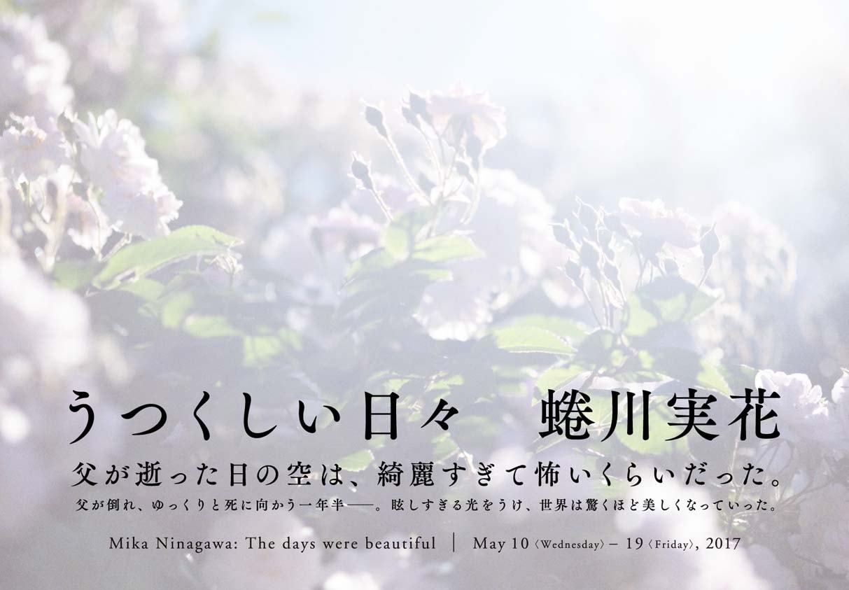 蜷川実花、父が死に向き合う日々を捉えた個展「うつくしい日々」を原美術館で