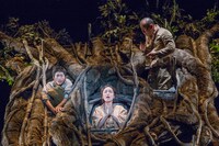 こまつ座「木の上の軍隊」より。（撮影：谷古宇正彦）