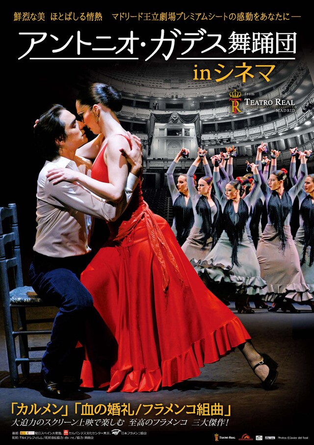 「アントニオ・ガデス舞踊団 in シネマ」ビジュアル
