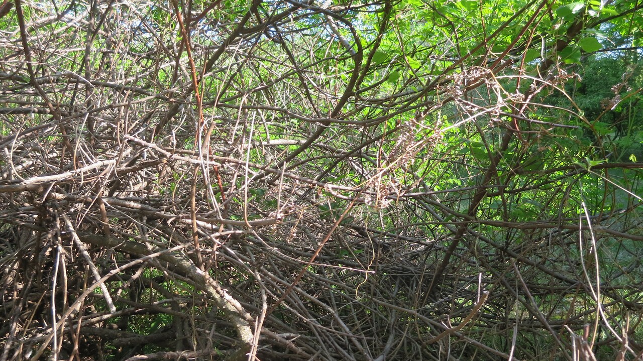 北千住のBUoYプレオープンイベントにTOLTA「人間関数ートルタオーディオブック」