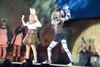 舞台「けものフレンズ」ゲネプロより。