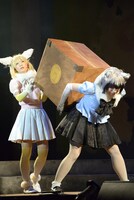 舞台「けものフレンズ」ゲネプロより。左から本宮佳奈演じるフェネック、小野早稀演じるアライグマ。