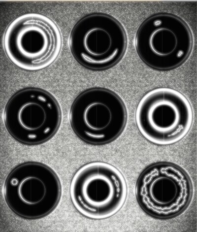 正直者の会「アトリエ／あのいえ」ビジュアル