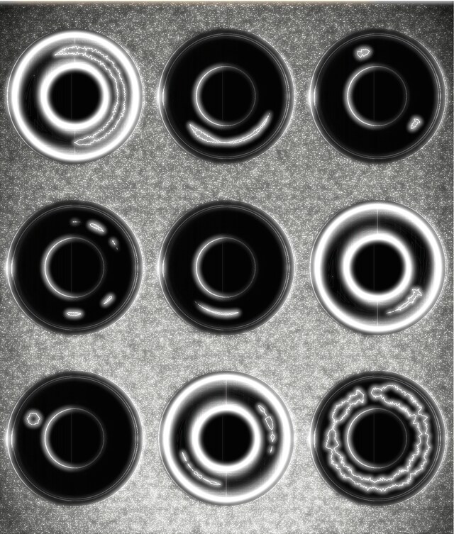 正直者の会「アトリエ／あのいえ」ビジュアル