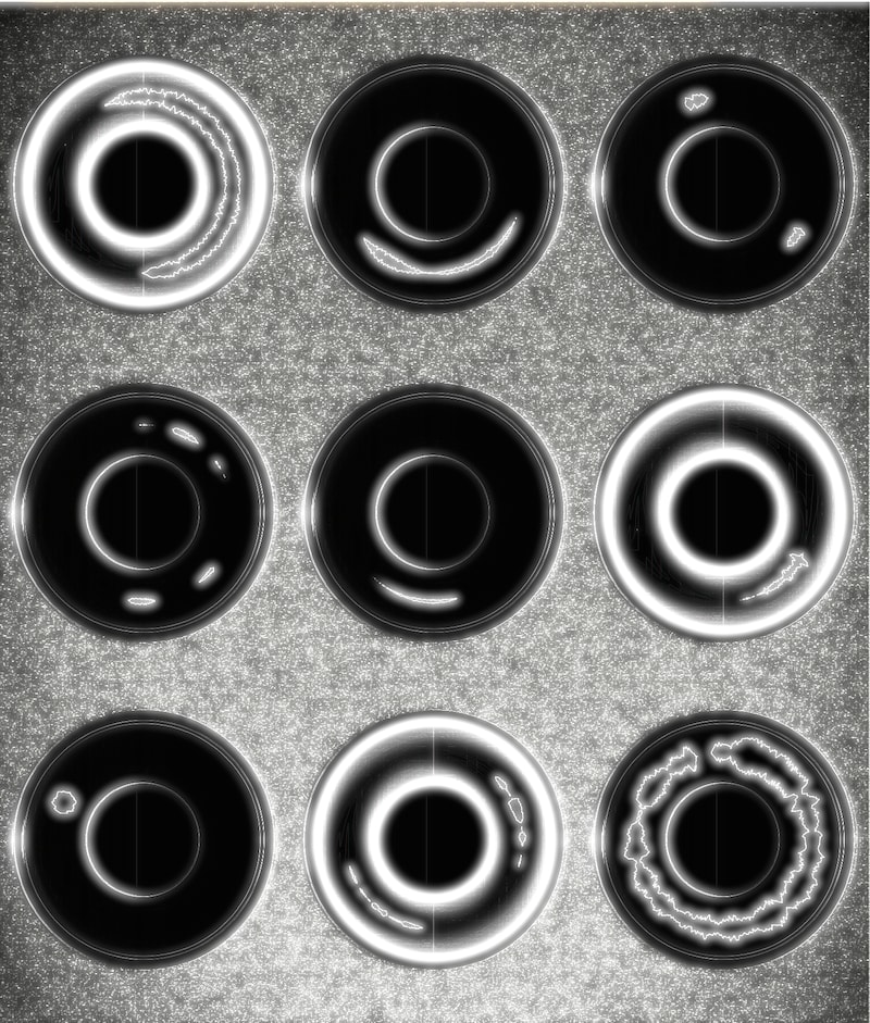 正直者の会「アトリエ／あのいえ」ビジュアル