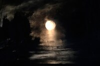 「白鳥の湖」New design for The Royal Ballet's Swan Lake, Act II (c)John Macfarlane (1)