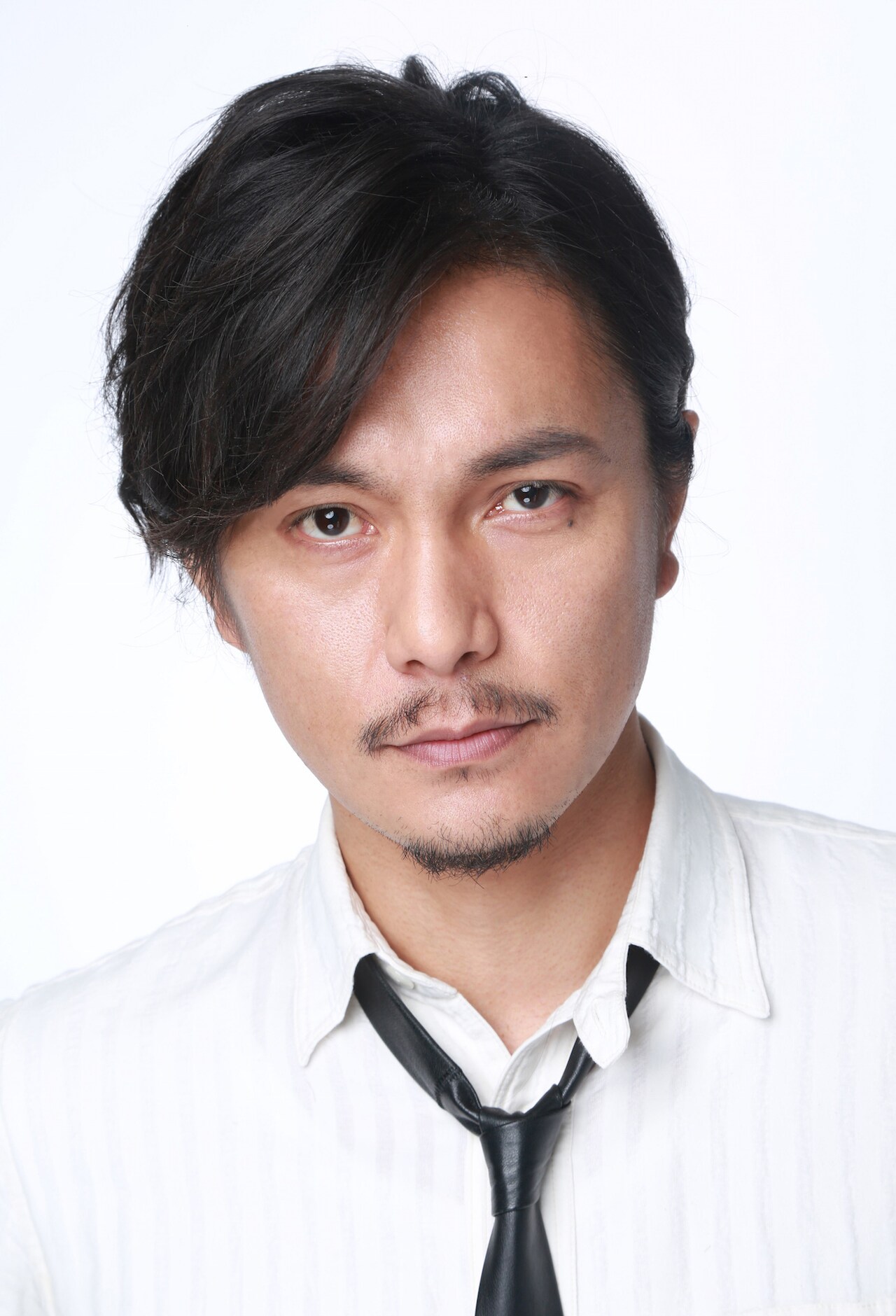 fujishigemasataka_art.jpg?