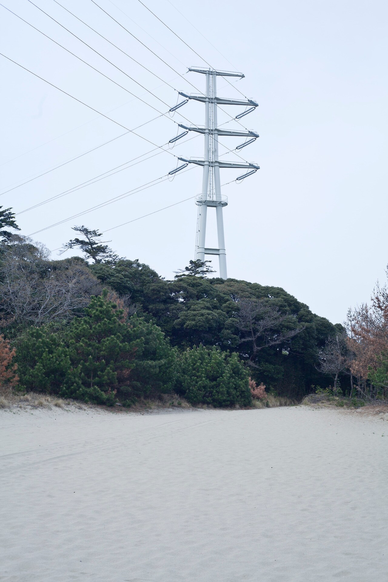 三野新の新カンパニー・ニカサン、不条理な厄災の物語「偶数と奇数」