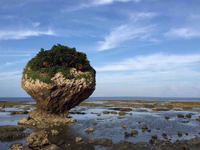 光の領地