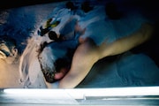 「キス&クライ」 (c)Maarten Vanden Abeele