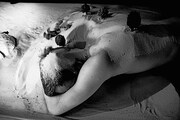 「キス&クライ」 (c)Maarten Vanden Abeele