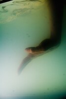 「キス＆クライ」 (c)Maarten Vanden Abeele