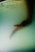 「キス&クライ」 (c)Maarten Vanden Abeele