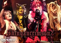 シンガンクリムゾンズのビジュアル。