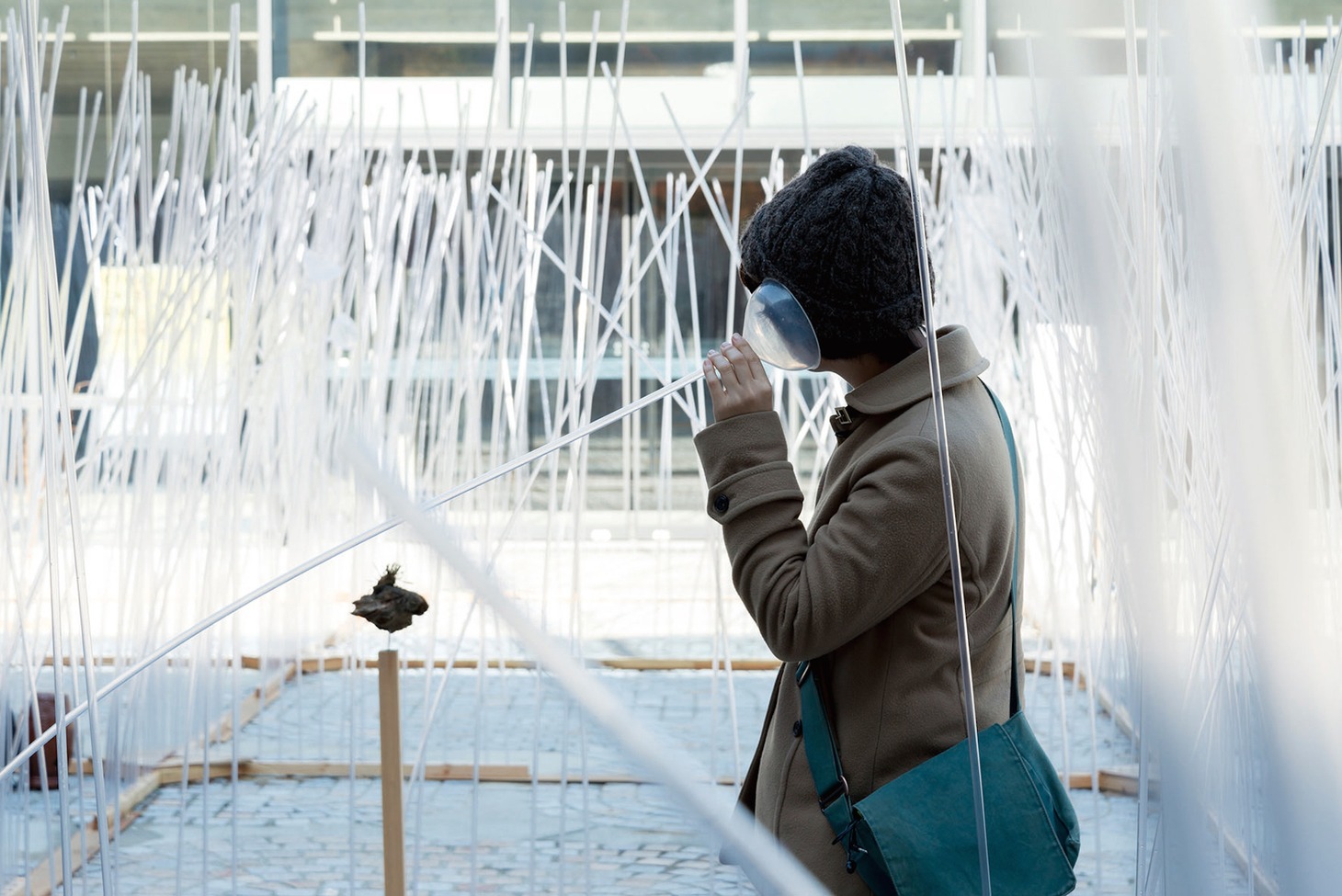 researchlight「河童と、ふたたび」のロームシアター京都での展示風景より。（Photo by Yuki Moriya）