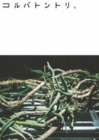 DVD「コルバトントリ、」ジャケット