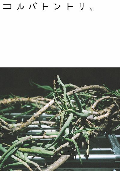 DVD「コルバトントリ、」ジャケット