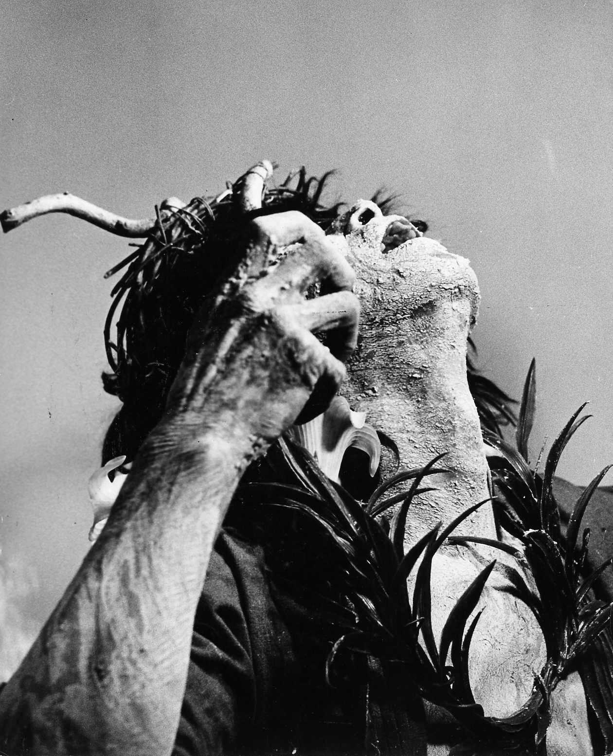 高知県立美術館が3日間無料開放、大野一雄のドキュメンタリーフィルム上映