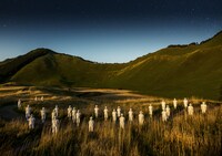 維新派「トワイライト」より。