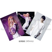 「舞台『パタリロ！』」より、マライヒ役の佐奈宏紀のブロマイド。