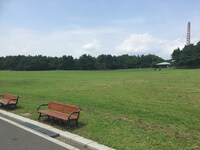 特設舞台が設置される葛西臨海公園 汐風の広場。
