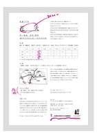 水素74％「花火」チラシ裏
