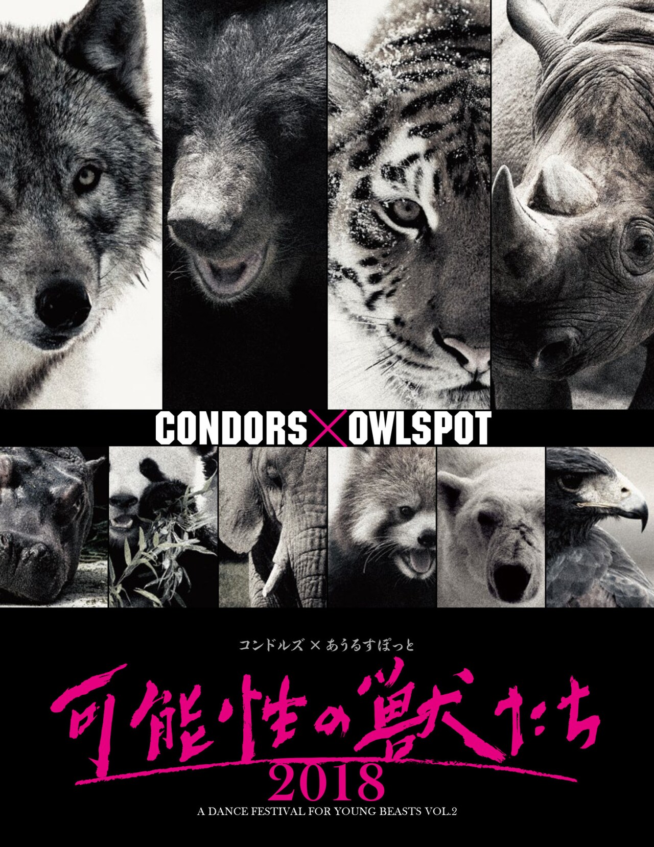 コンドルズ×あうるすぽっとの“大赤字”ダンスフェス「可能性の獣たち」第2弾