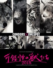 「コンドルズ×あうるすぽっと 大赤字コンテンポラリーダンスフェス第2弾『可能性の獣たち2018』」チラシ表