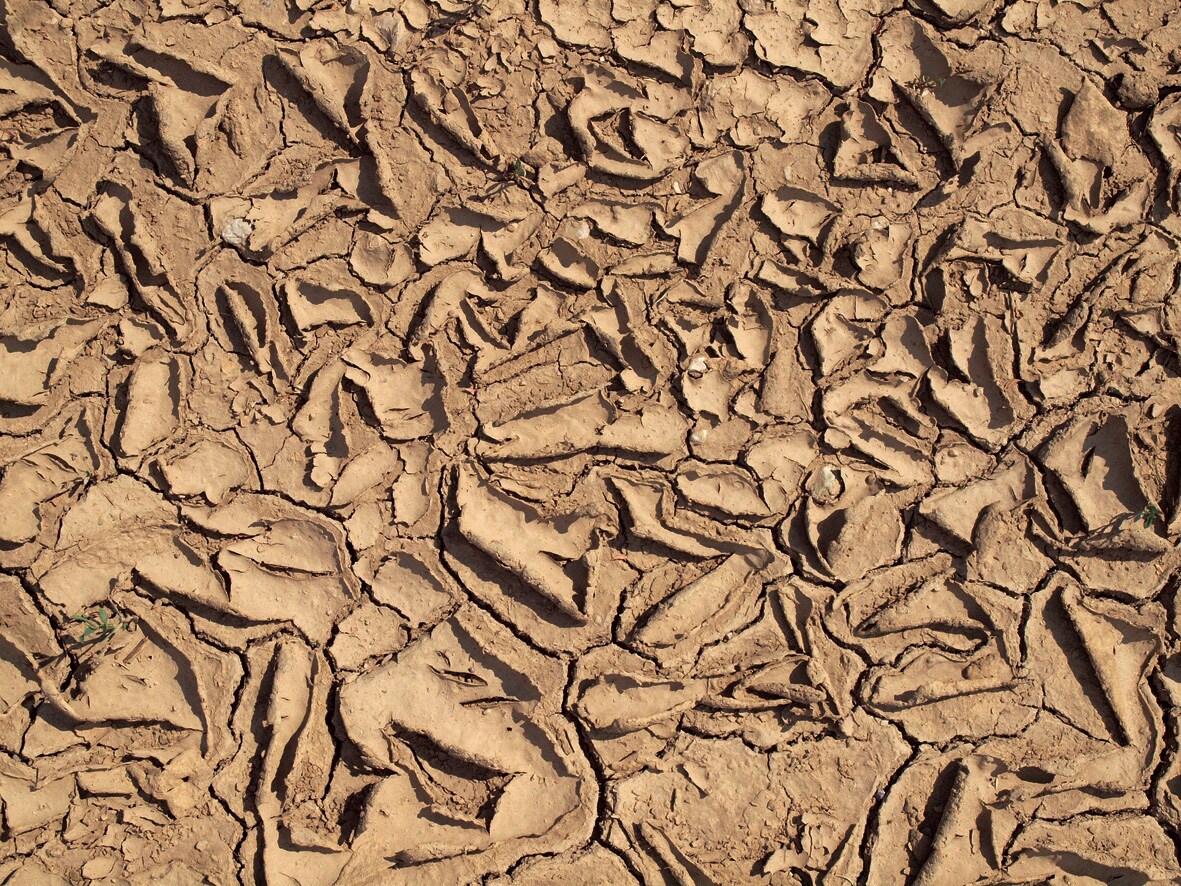 粘土の味「オフリミット」合田団地＆和田ながら、京都の同い年がタッグ