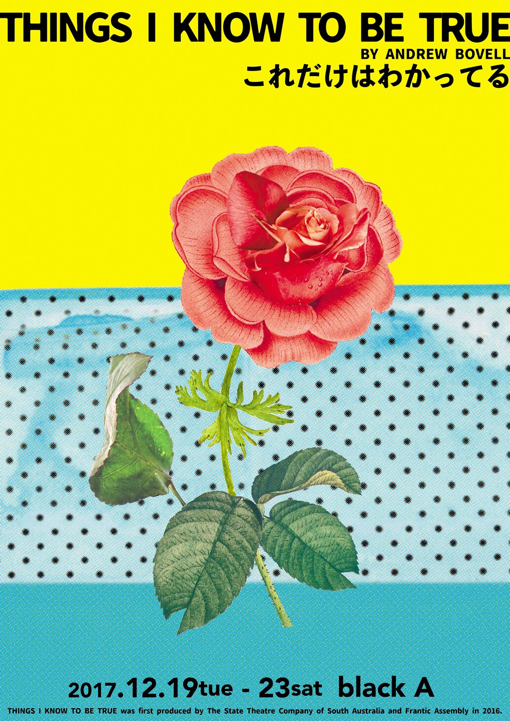 季節と共に移ろう家族の姿切り取る「THINGS I KNOW TO BE TRUE」