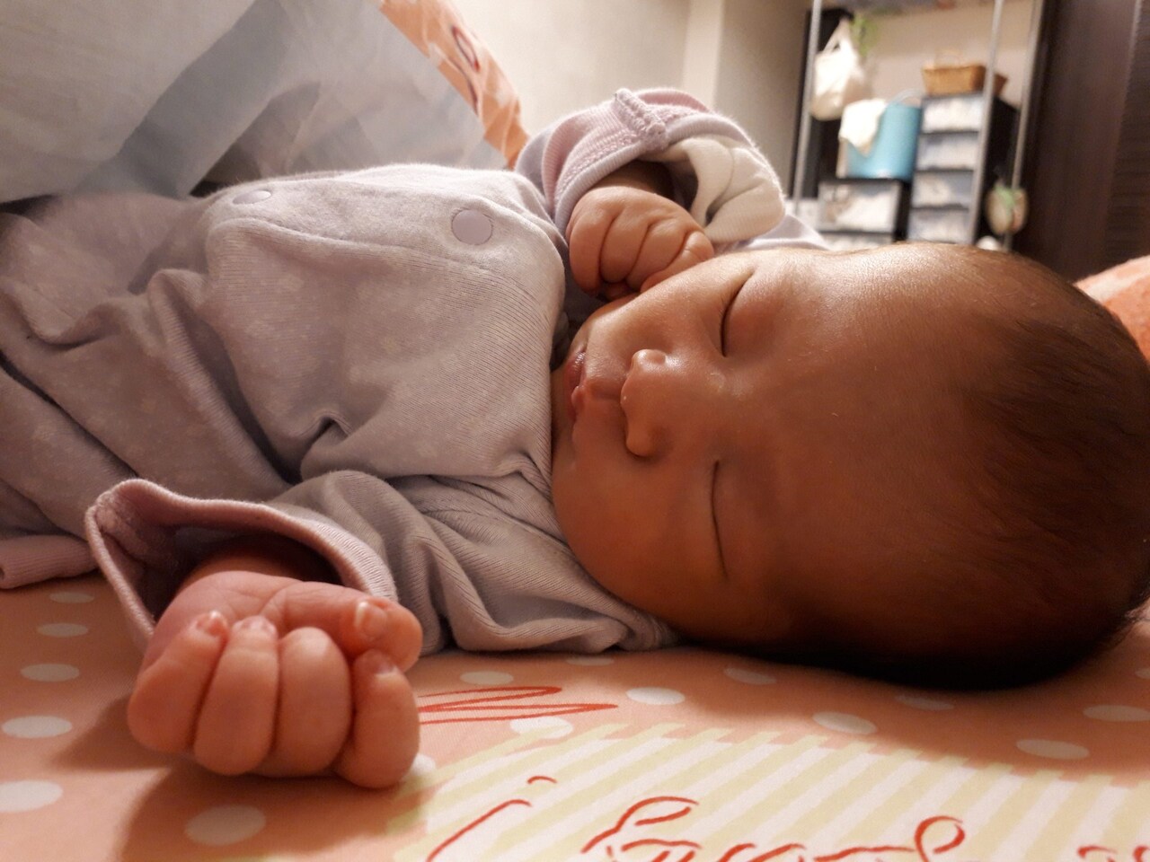 青年団・平田オリザが父親に、子供の名前は「全然普通になりませんでした」