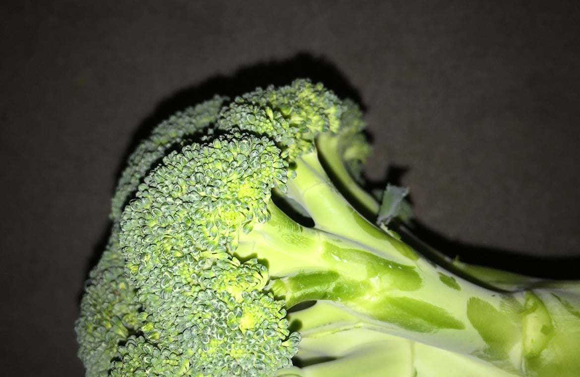 福留麻里と新聞家・村社祐太朗が“ドラマ”を再建