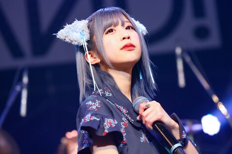 七星ぐみ（撮影：笹森健一）