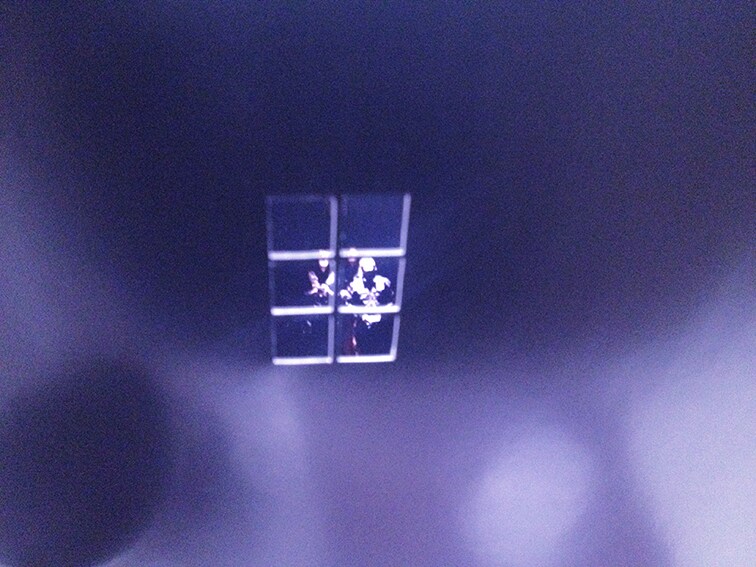 ミクニヤナイハラプロジェクト「曖昧な犬」関連展示が劇場近辺2カ所で