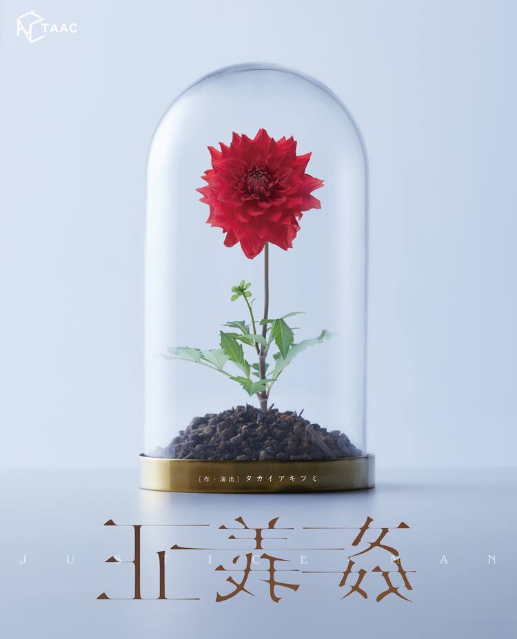 舞台は奇妙な植物園 人間の闇や愛おしさを描くtaac 正義姦 ステージナタリー