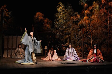 SPAC 秋→春のシーズン 2017-2018 #3「しんしゃく源氏物語」より。（撮影：猪熊康夫）