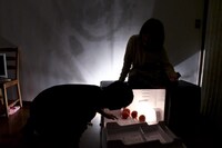 藏下右京×渕上夏帆 二人芝居「銭湯ぐらし」前回公演より。