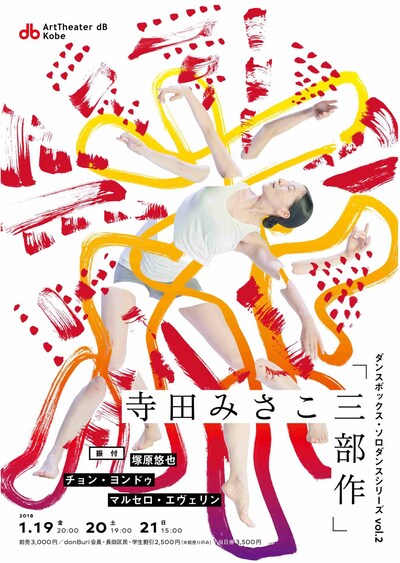 ダンスボックス・ソロダンスシリーズvol.2 寺田みさこ「三部作」チラシ