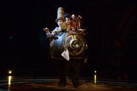 ミスター・マイクロコスモスとミニリリー。