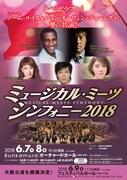 「ミュージカル・ミーツ・シンフォニー2018」チラシ