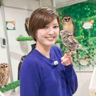 「朝夏まなと退団スペシャル」&「シトラスの風III」副音声付き放送、WOWOWで