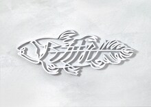 シラカン 第5回公演「坦々とおこり」チラシ