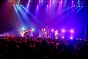 THE SOLUTIONSのライブの様子。（Photo by Viola Kam [V'z Twinkle]）