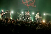 THE SOLUTIONSのライブの様子。（Photo by Viola Kam [V'z Twinkle]）