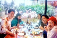 情熱のフラミンゴ（撮影：行竹亮太）