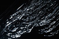 過去の公演より。（撮影：井上嘉和）