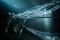 過去の公演より。（撮影：井上嘉和）