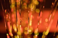 過去の公演より。（撮影：井上嘉和）